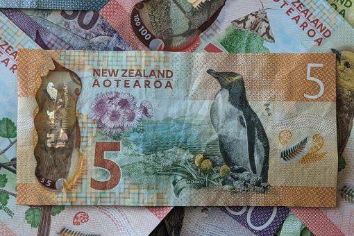 🔵  Fraud prevention course image