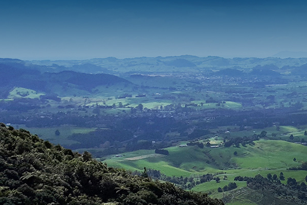 🔵Iwi Boundaries and Marae course image
